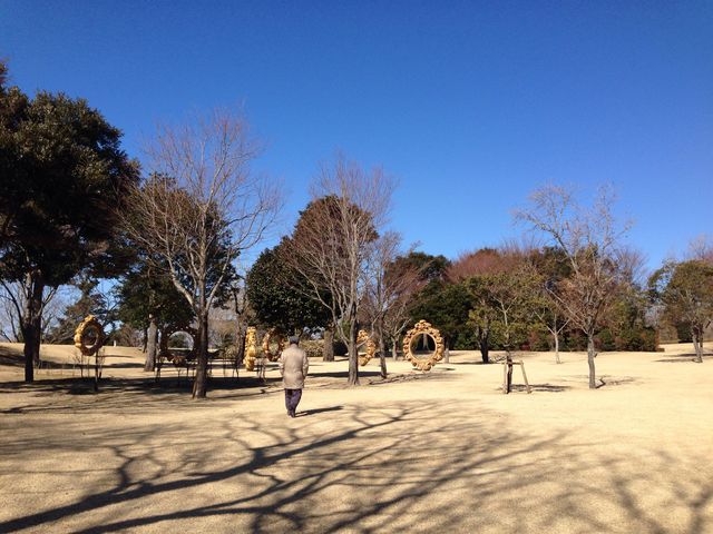 �傫�ȋ��̊z�������u���Ă���A������ʂ��Ċp�x�A�V�C�A�G�߁c�����ȈႢ�̃A�[�g���ł�������B_�������������A�[�g�̐X