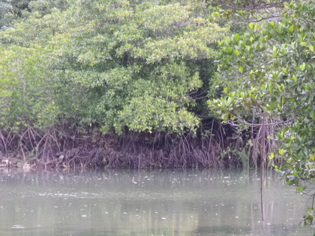 Ƃ̋{ǐ̃qMт̓eʐ^1