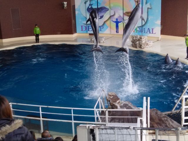 CJ̃WvAΌĂłˁI_֎ŝفEC