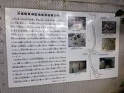 Ƃ񂳂̉ꗤRa@앗QQO̓eʐ^1