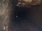 Ƃ񂳂̉ꗤRa@앗QQO̓eʐ^3