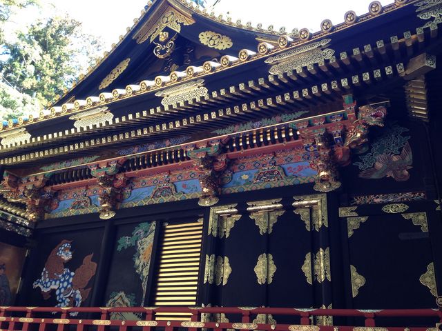 �q�a���ʁB_�v�\�R���Ƌ{