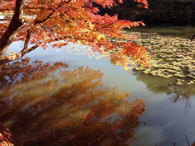 ���ʂɉf��g�t�����ꂢ���ȁB_�ԂƗ��j�̋��@�ւ̕@