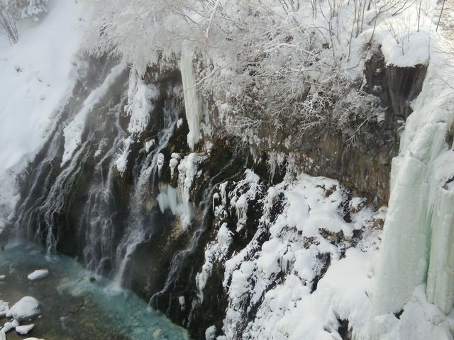 ��̔��Ɛ�̐B�Y��ł����B_���Ђ��̑�