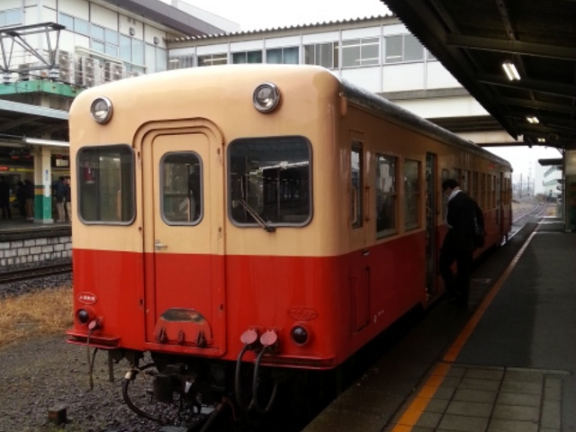 �܈�w�ɂ�_�����c��