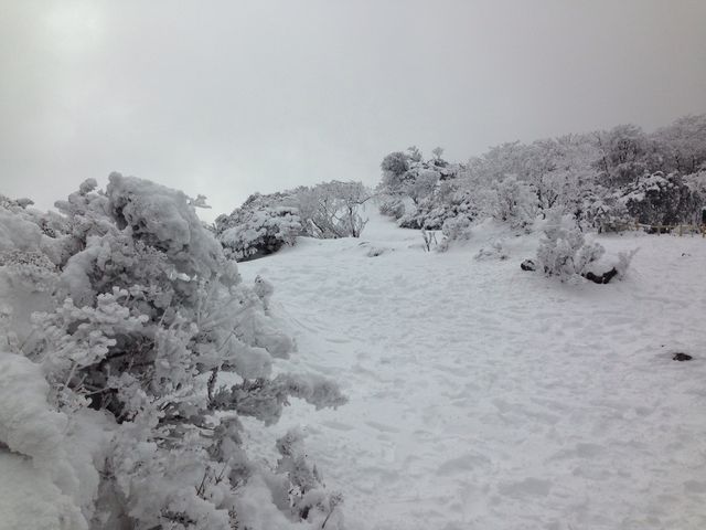 Xƈʂ̋␢Eł_ʕ{[vEFC