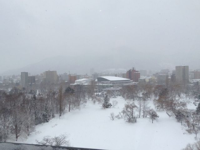 �D�y�p�[�N�z�e������̐�i�F_��������