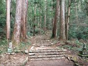 ���������I����̖P�����̓��e�ʐ^3