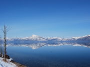 x񂳂̎x┌΂̓eʐ^1