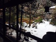 �߂邳��̎����@�̓��e�ʐ^1