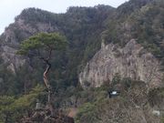 ���������I����̖P�����R�̓��e�ʐ^1