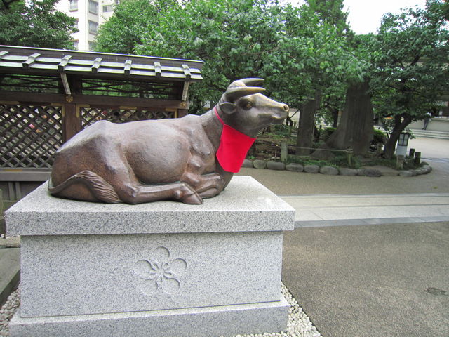 �����V���{