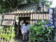 nejibanaさんの白山神社（東京都文京区）の投稿写真3