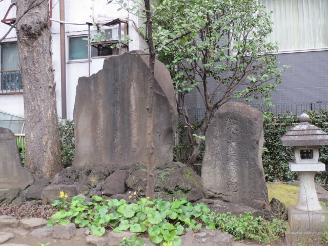 ���A�搶�I���̔�_�\�v����