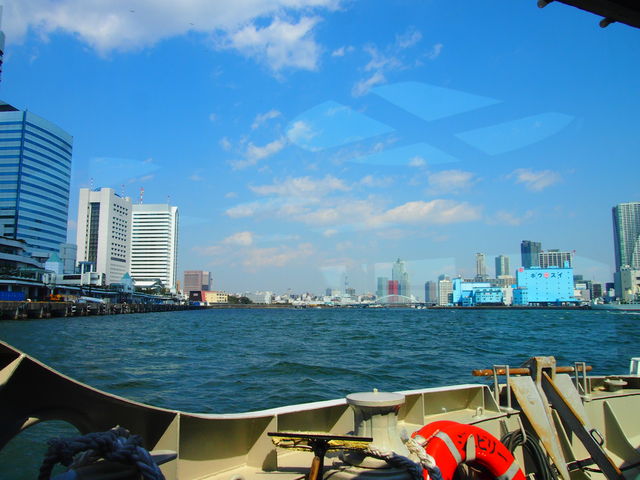 �����s�ό��D�D