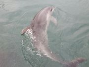 sxxx̊CكV[h[ic̓eʐ^1