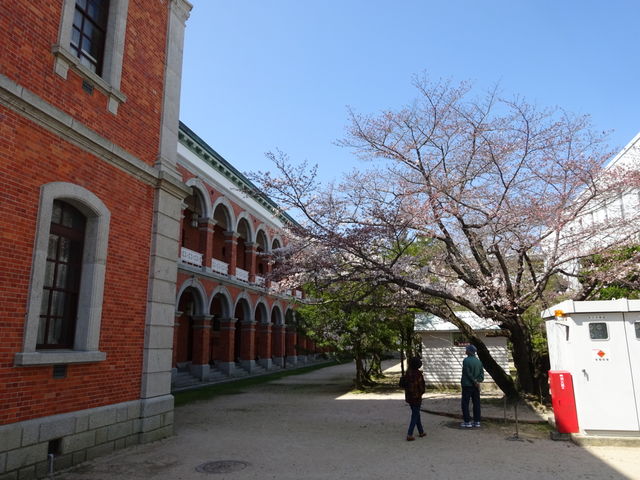 �Z���̍�_�C�㎩�q�����p�Ȋw�Z