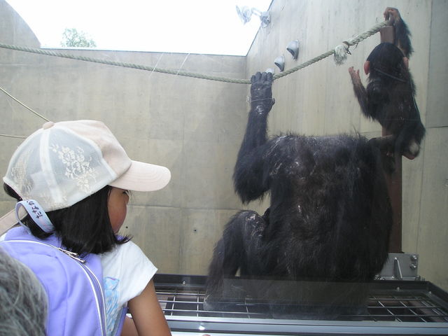 �`���p���W�[���ԋ߂ɁI_���R������