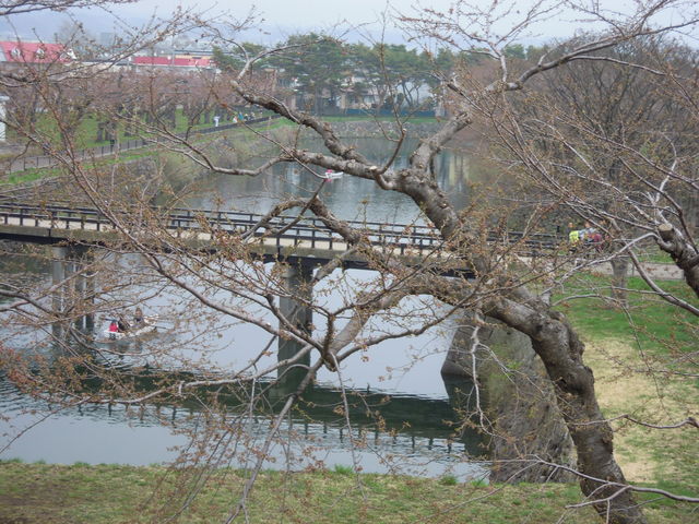 �c�O_�ܗŊs�����̍�