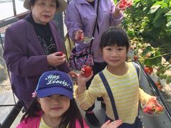 C܂̍䥗΂̃~[WA n[xXg̋uւ̓eʐ^1