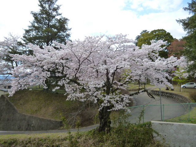 oto-chann����̗��������̍��̓��e�ʐ^1