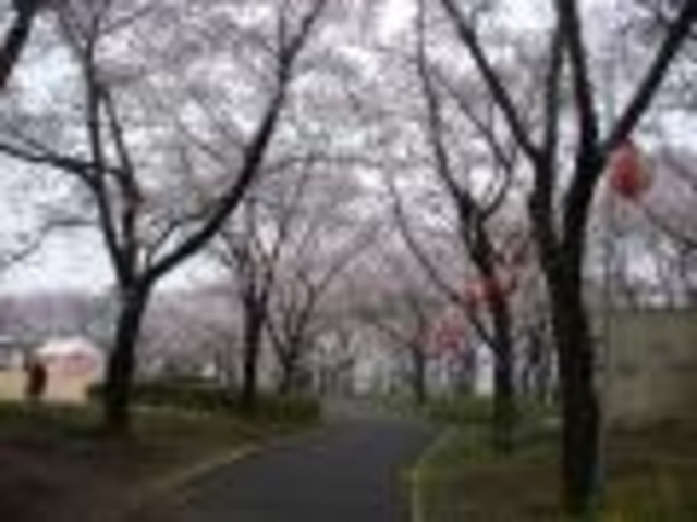 ���̑��_�d�������������̉�