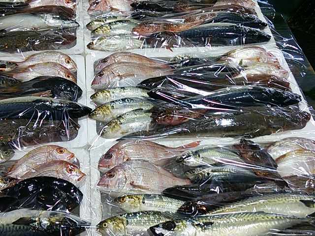 O؂̐CYفȄh@s̓eʐ^1