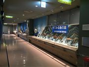 [邳̘a̎RRق̓eʐ^1