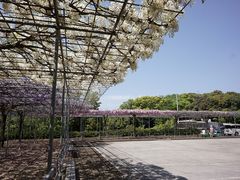 tamatora̓_Ђ̓ւ̓eʐ^1