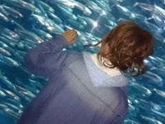 �o�ʃ}�����p�[�N�j�N�X�̎ʐ^1