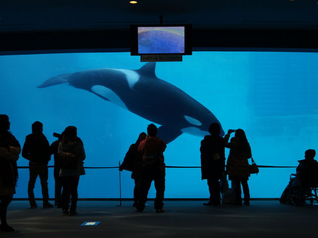 ���É��`������