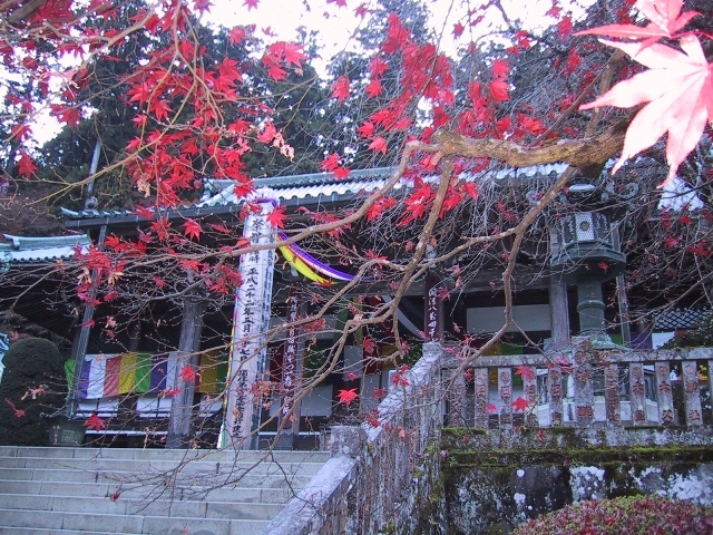 大雄山最乗寺（道了尊）】アクセス・営業時間・料金情報