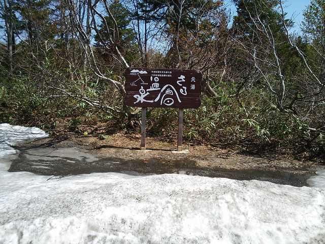 ������̈ē��Ŕ�_�������q����