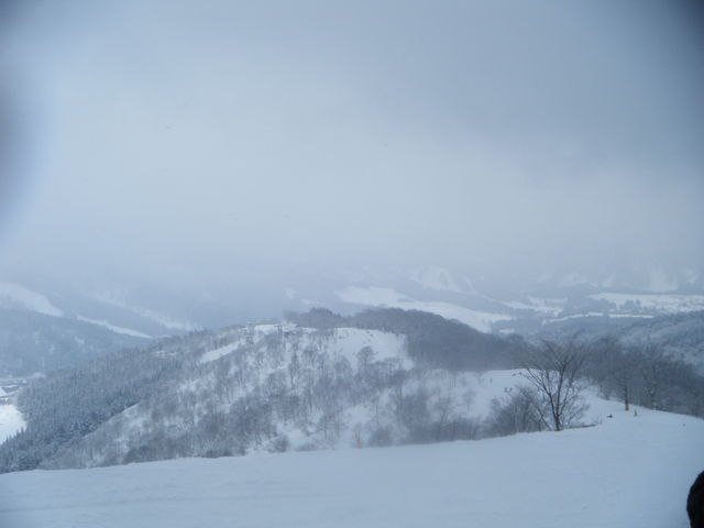 �R������_�E�C���O�q���Y�������]�[�g