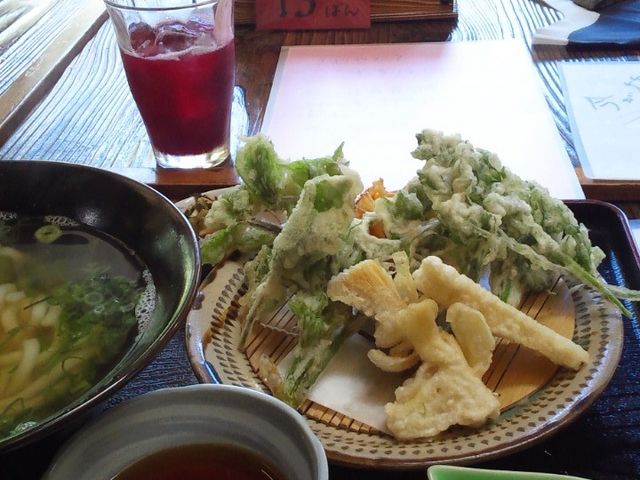 ʐ^BOɎv킸HׂĂ܂A{[_E܂A̎RؓVՂ͐iłB_˒