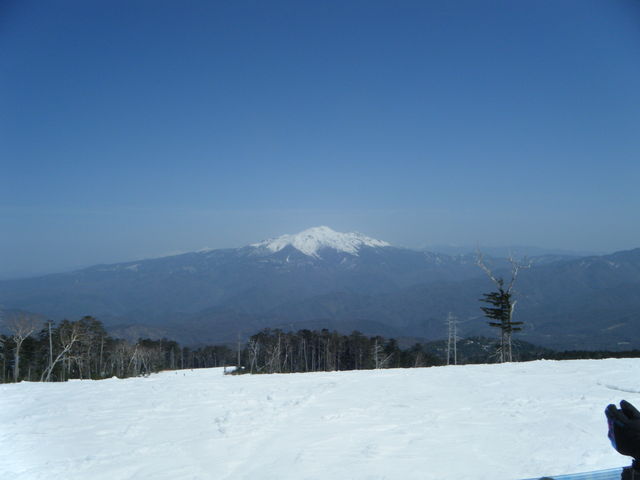 �R������̒��]_�`���I��x�}�E���g���]�[�g