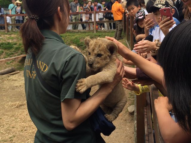 �Ԃ���񃉃C�I���~���N���_�H�g�䎩�R���������T�t�@�������h