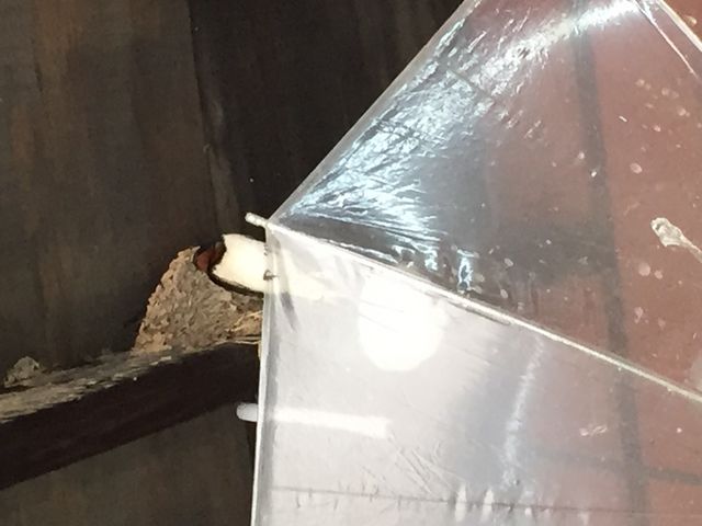 KɂȂ܂悤ɁB
cȏS܂܂B_̉w jZRr[vU