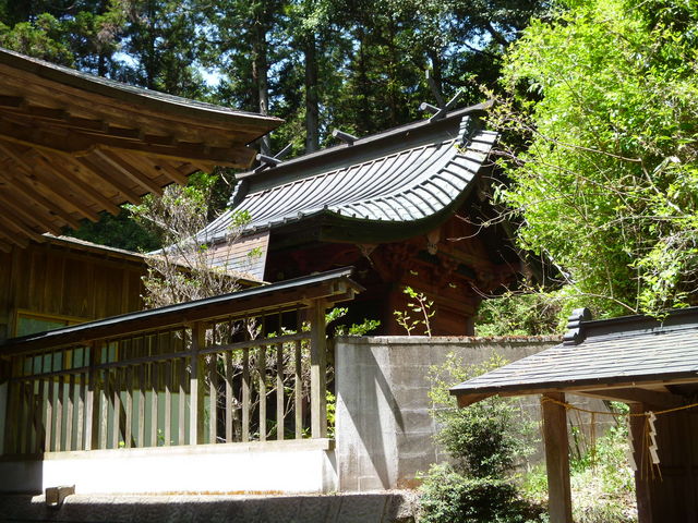 oto-chann̉Fސ_Ђ̓eʐ^1