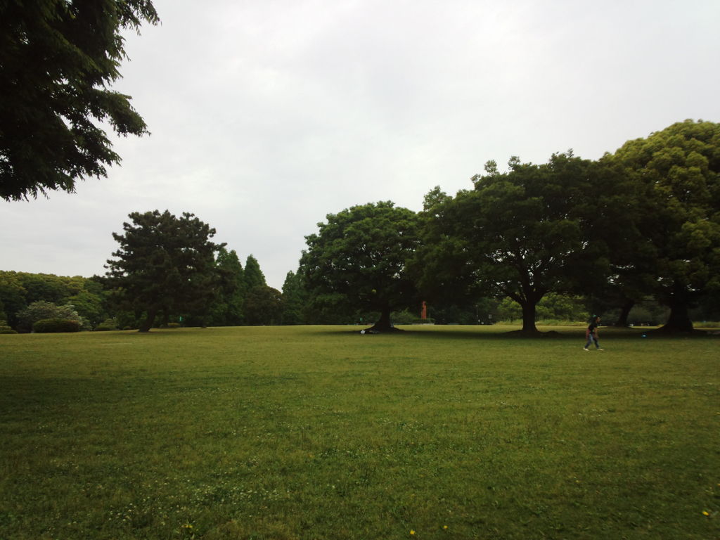 庄内緑地