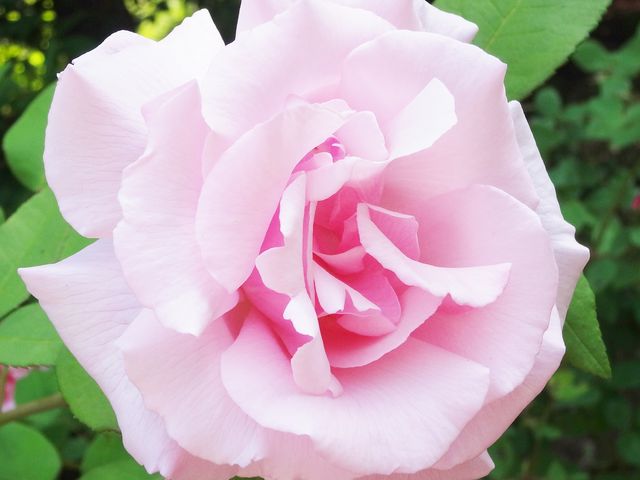 �S����������