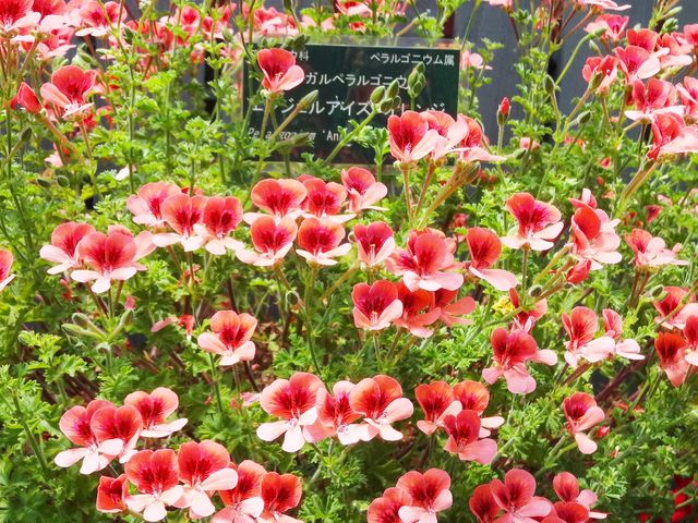 �S����������