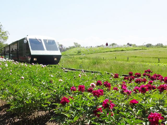 �����̃����[�g���C���́A�q�������ɐl�C�i�L���j_�S����������