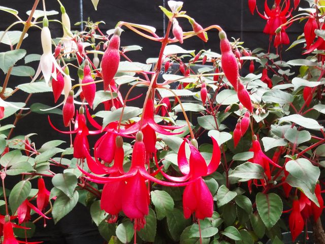 �L���́A����������܂���_�S����������