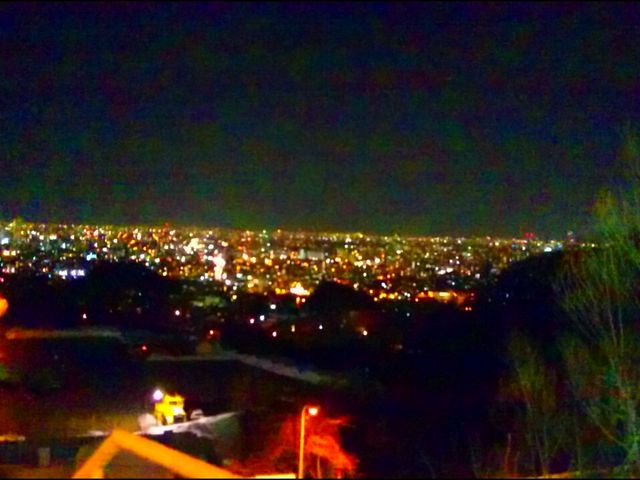 ��i�A�Y��ł������߂ł���_��q�R�W�����v���Z��