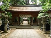 fL\RiC̋؁@zK_ЁitRsj̓eʐ^2