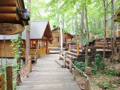 ́[ꂳ̃VbsO[hujOeXvւ̓eʐ^1