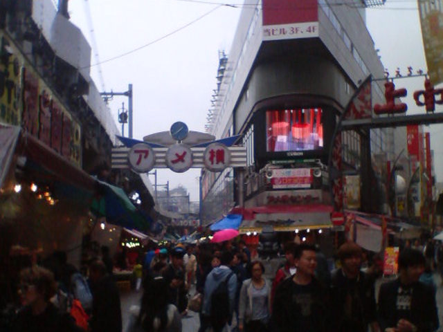 �A�����Z���^�[�r���O�A����_�A����