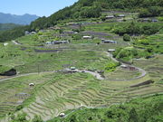 񂳂̊ێR疇c̓eʐ^1