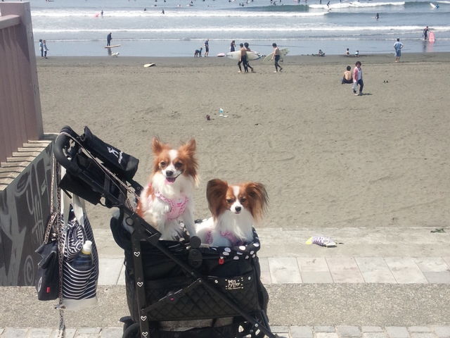 �C�݂���B
�g���r�����ł��āA����s���Ă���̂ŁA�C��t���Ă����ĉ�����(^-^)_�А����l�E�����C������